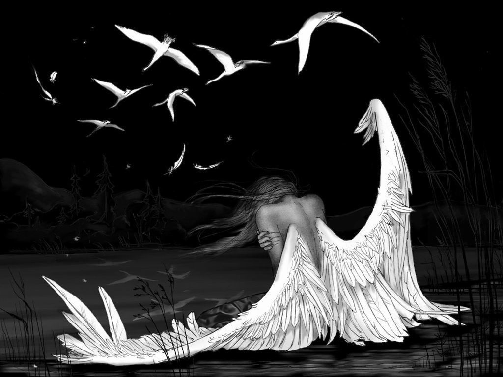 Hell to Heaven - Into the Shadows Hell to Heaven - Into the Shadows