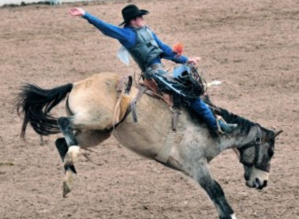 Happy Jack's Corral