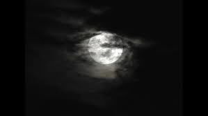 Flesh of MoonÂ