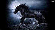 Dark Horse