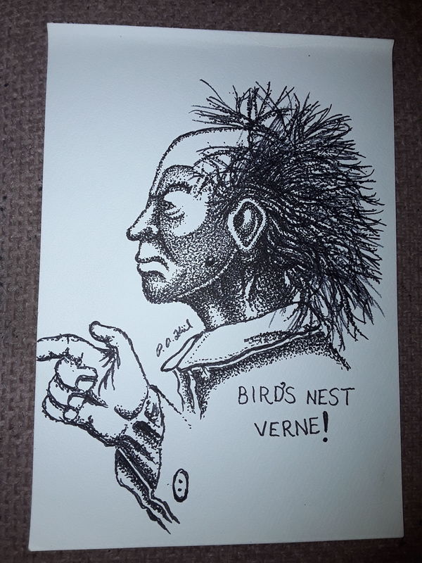 Bird&#039;s nest Verne