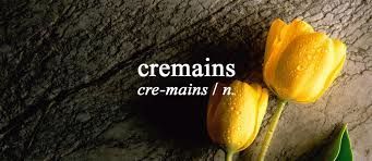 Chamber Maid For Cremation