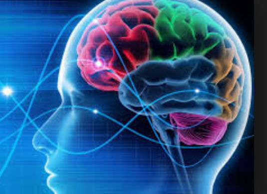 Cerebral Exultation