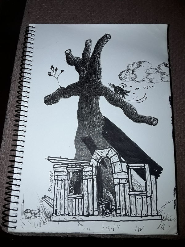 Tree in house 