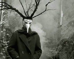 The Rot And The Ruin