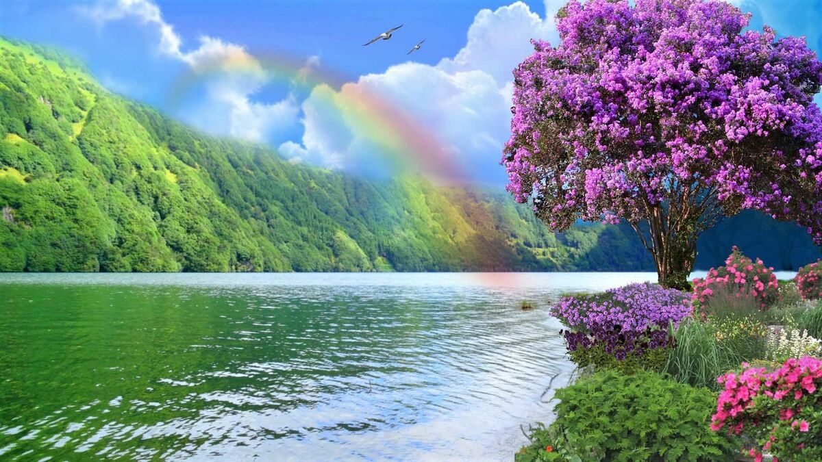 A Leprechauns Love