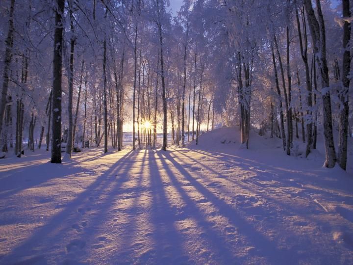 SOLSTICE 