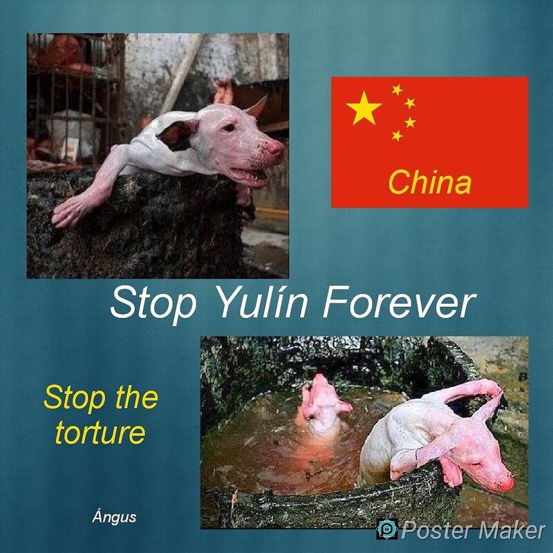 SWEET YULIN SOULS