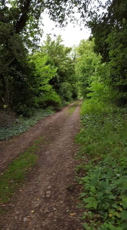 The Trackway