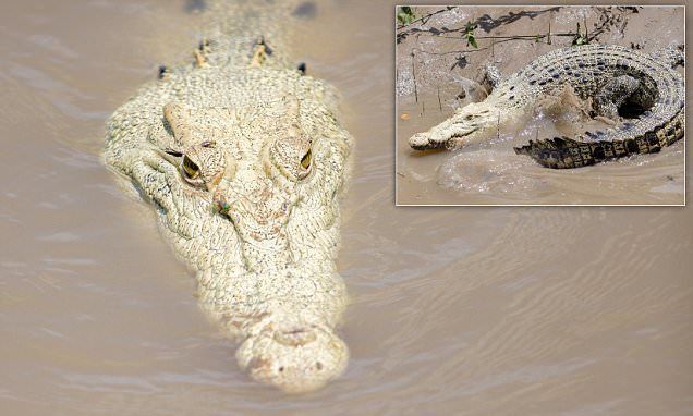 Crocs!!!