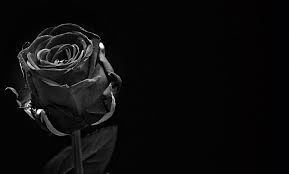 The Beauty of Death