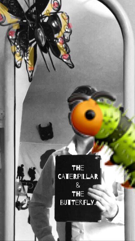 The Caterpillar &amp; The Butterfly.