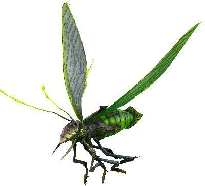 Bug