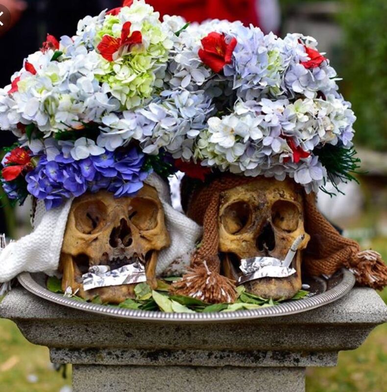 Skull Reflection 
