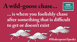Wild goose chase