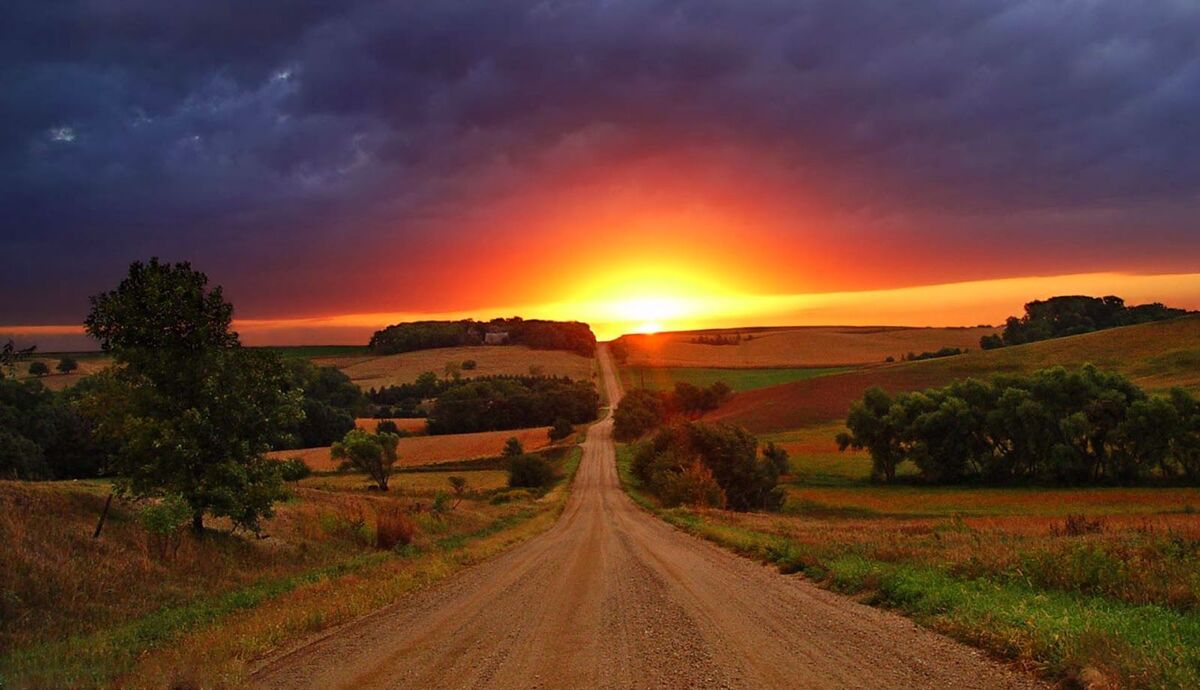 ~The Poet's Pen & The Arrival Of Morning~
