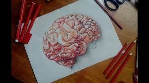 The Brain Speaks Morris Code