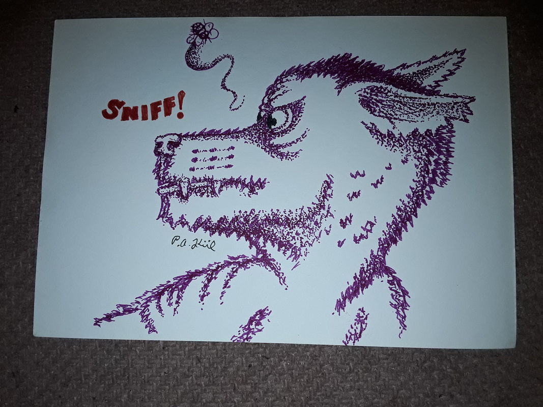 Fly bothered dog