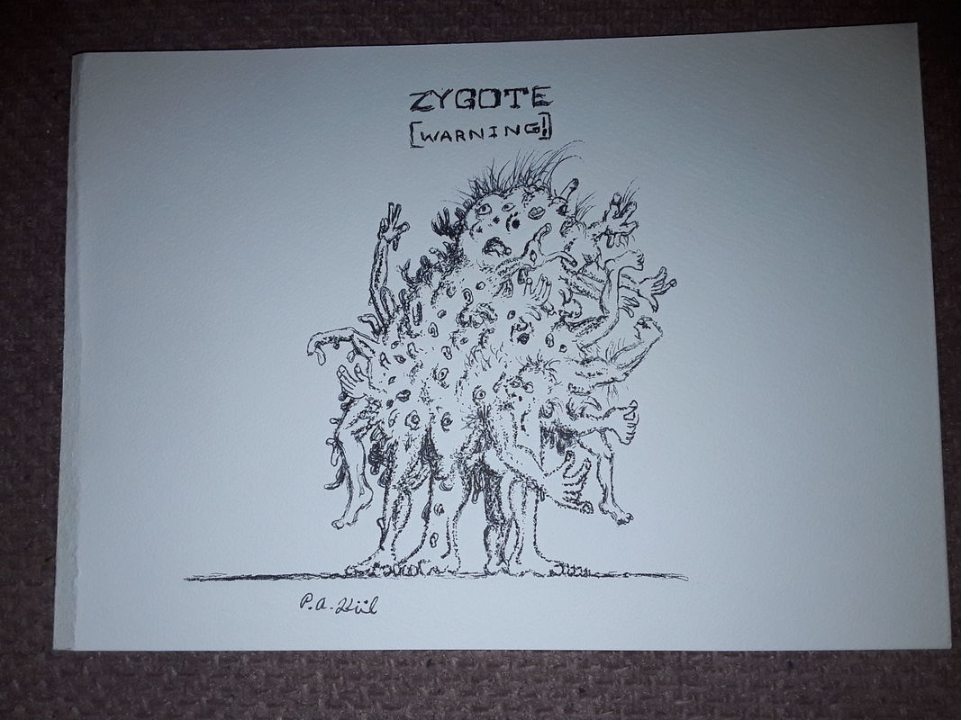 Zygote 
