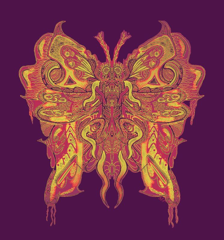 Abstract Moth