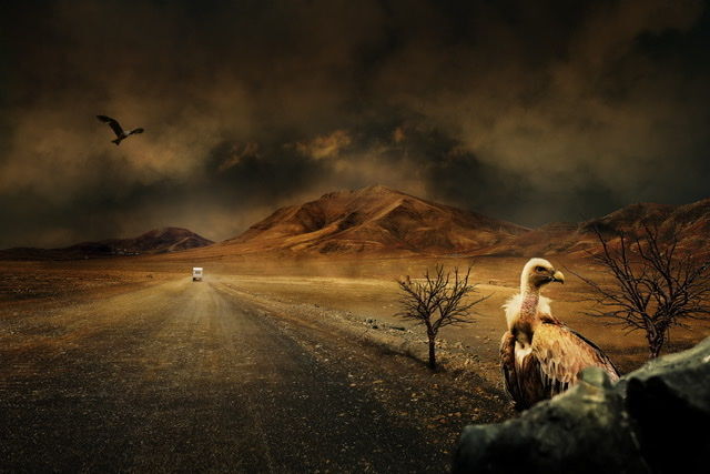 The Valley Of Death