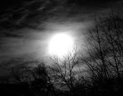 Cold Dark Cloud