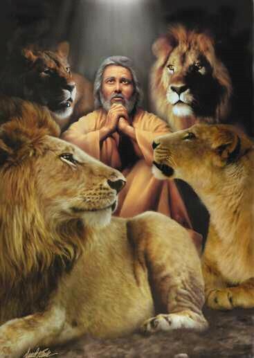 Greg In The Lion's Den