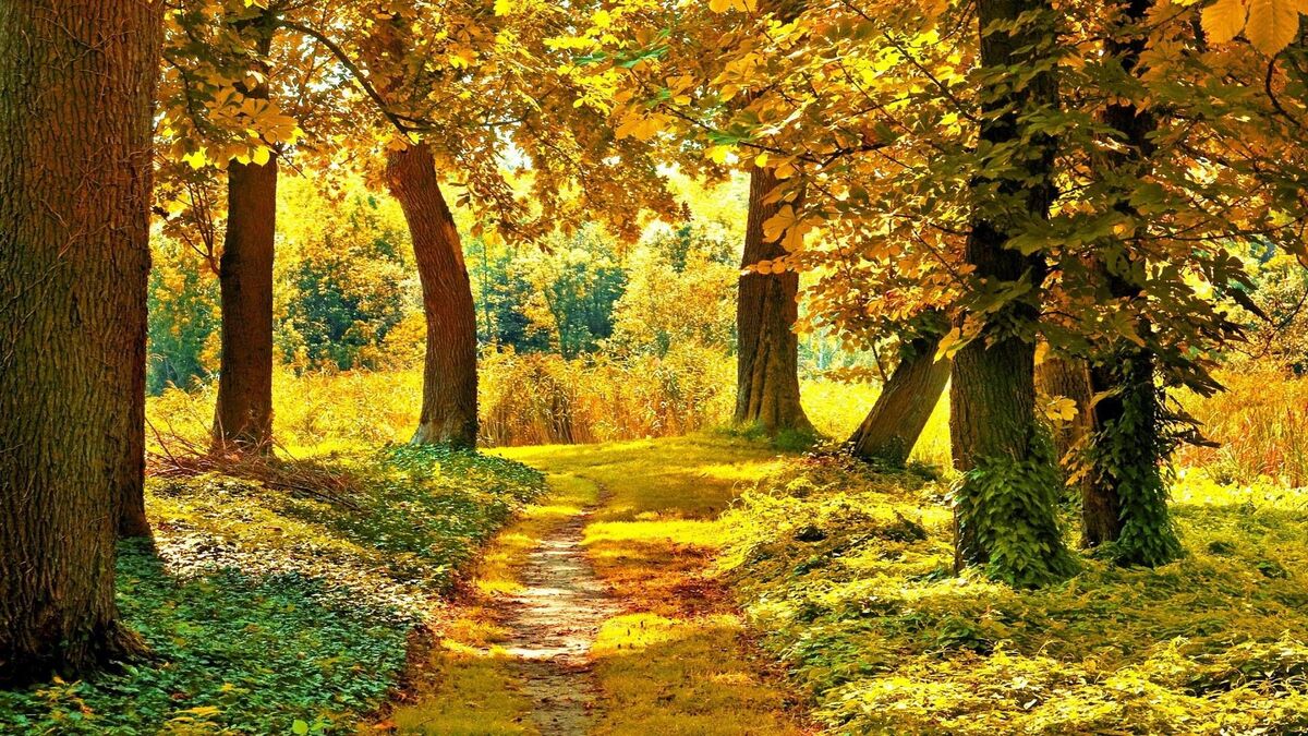Autumns first breath
