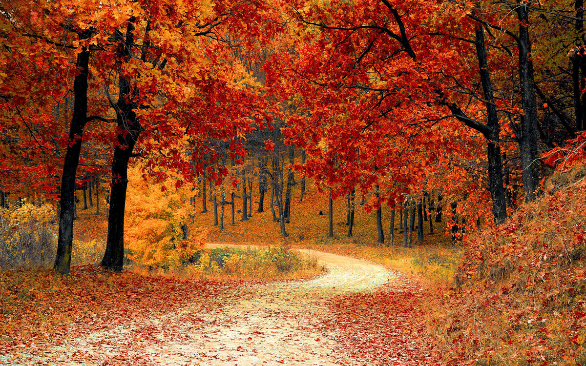 A Autumn day in life