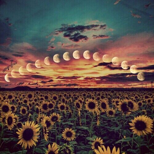 Where Good Intentions Lay