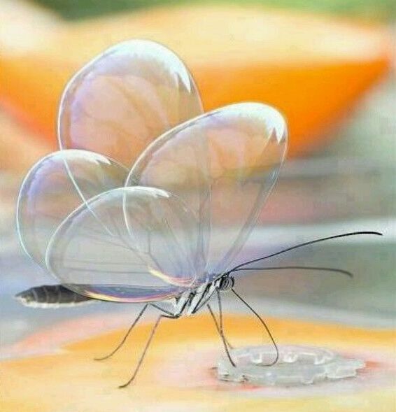 Glass Butterfly