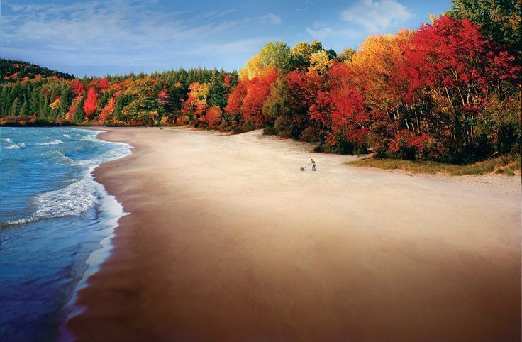 ON A AUTUMN DAY BY THE SEA