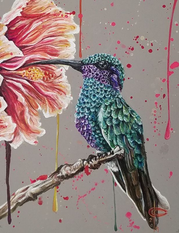 Hummingbird and Hibiscus