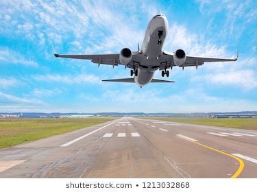 “Bon voyage little one”