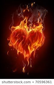 FLAMES OF RAGE 