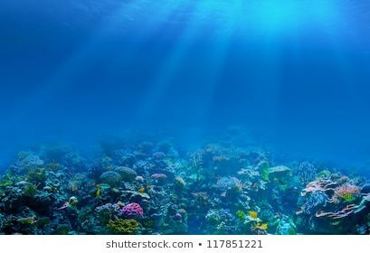 UNDER THE SEA