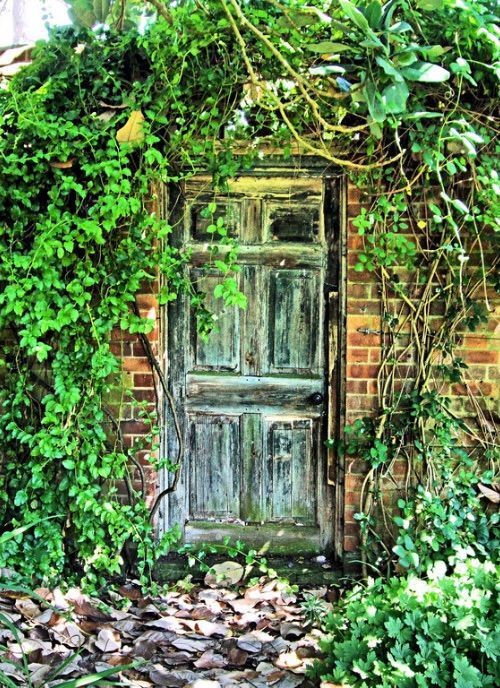 The Secret Garden ?♀️