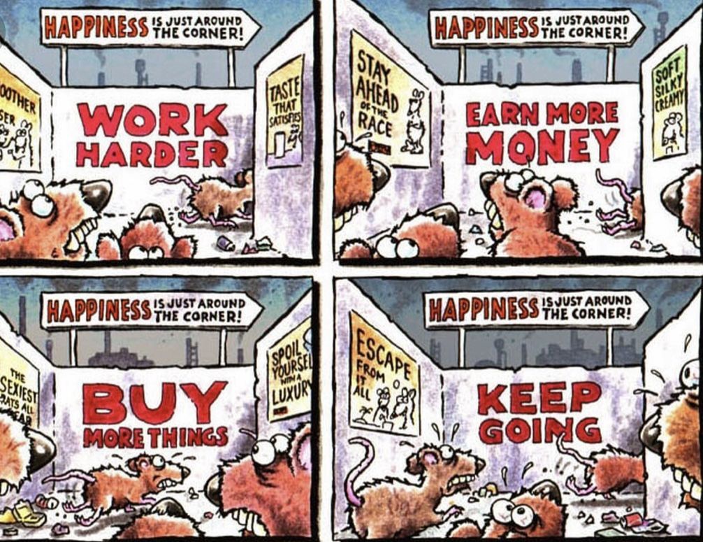 The Rat Race Evolution