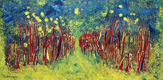 The woods