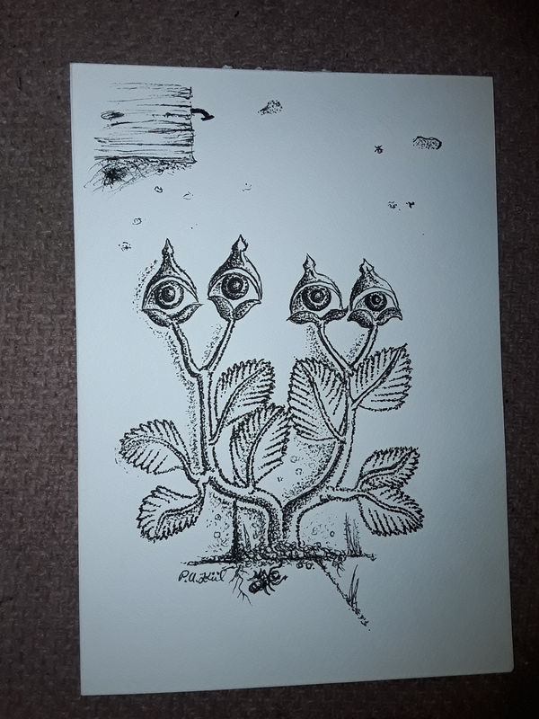 Plant 