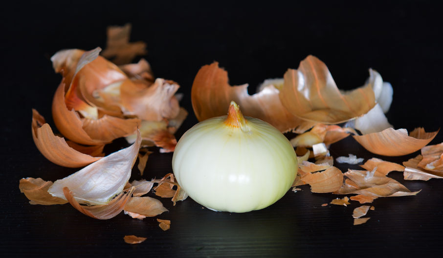 The Onion of my life ?