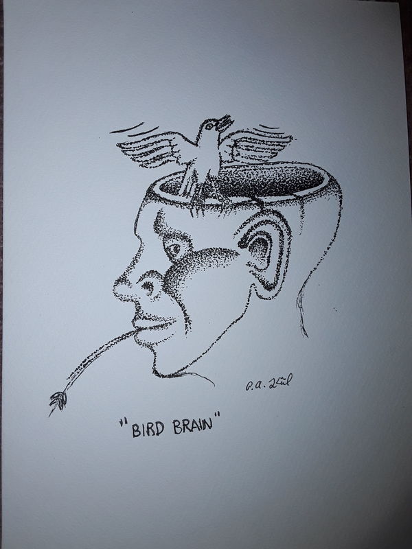 Bird brain 