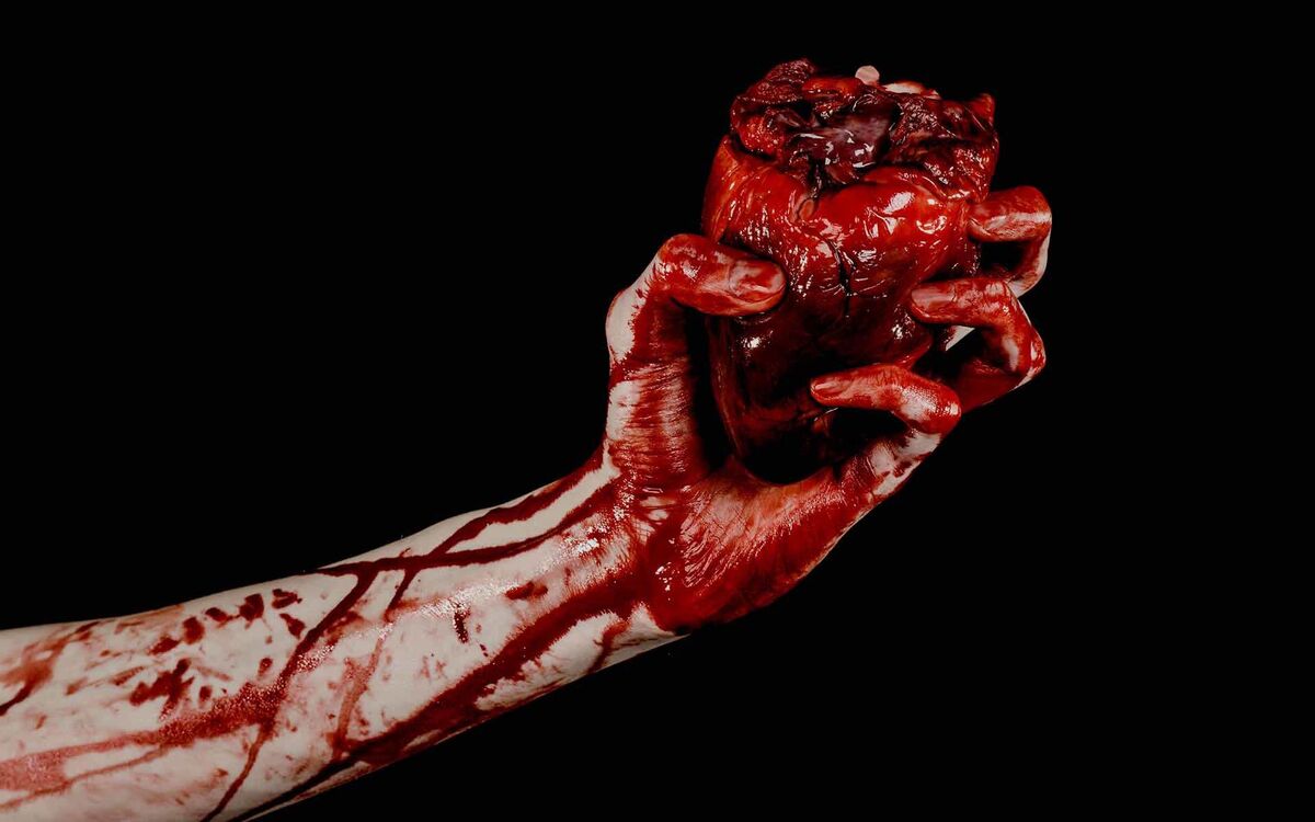 Carnivore