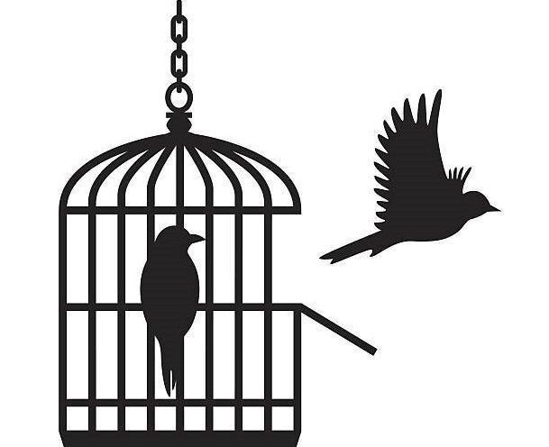 The caged bird 