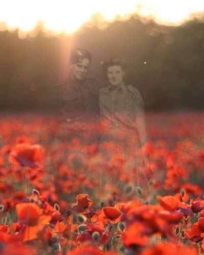 Armistice day