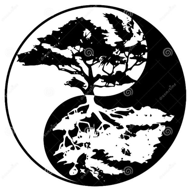 Yin☯️Yang