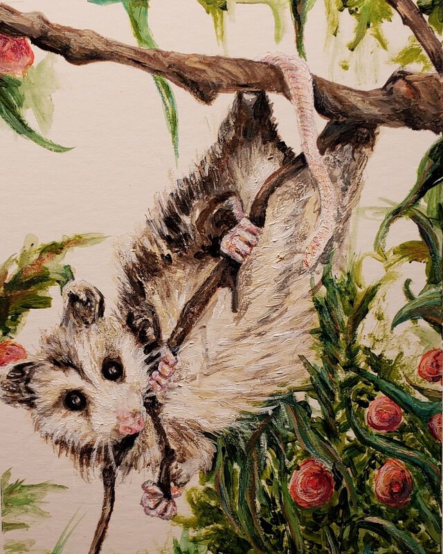 Marsupious