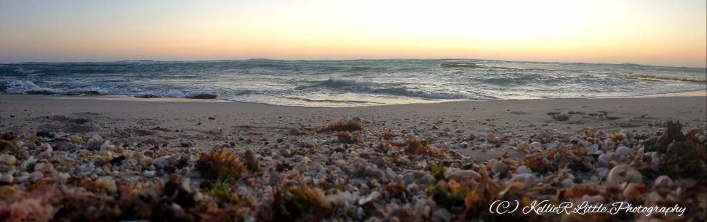 KellieR.Little.Photography