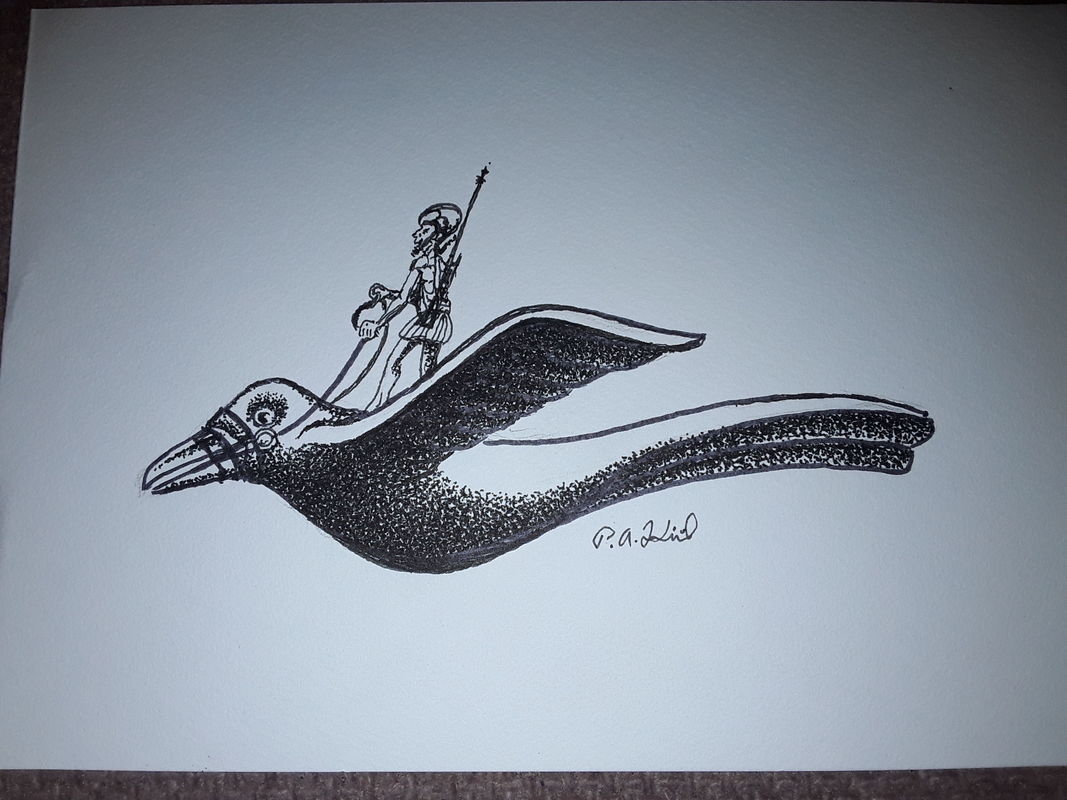 Brd rider