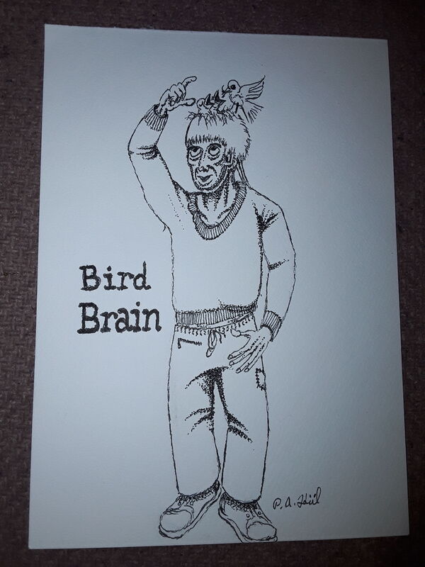Bird brain 